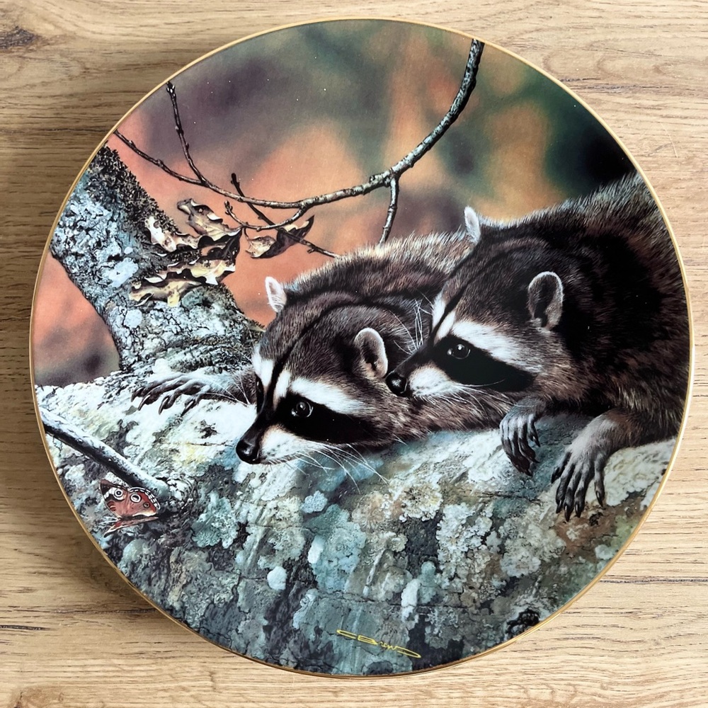 Raccoon Decorative Plate